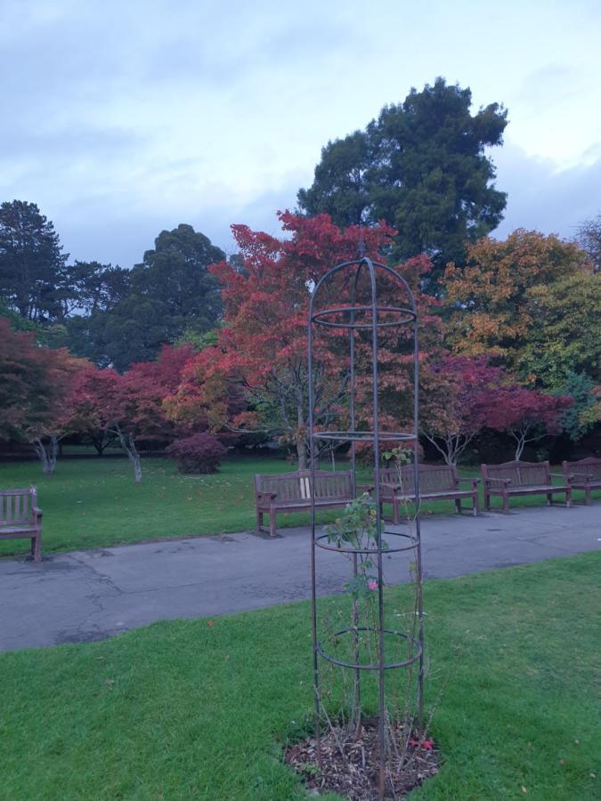 Private Room Near Roath Lake/Park 카디프 외부 사진